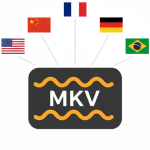 mkv multi language transcription
